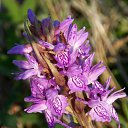 ���� �����, �����, 64 ���� - ��������� 9 ���� 2015 � ������ ����� ���� ���� (07.06.2015)�