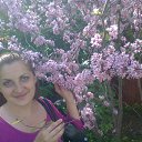 ���� �����, ����, 42 ���� - ��������� 14 ��� 2015 � ������ ���� ����������