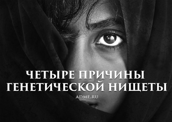 4 причины генетической нищеты. Истории, которые изменят ваше представление о бедности. Где находятся ...