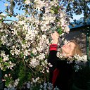 ���� ��������, ����, 53 ���� - ��������� 9 ��� 2015 � ������ ���� ����������