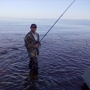 ���� �������, �����������, 71 ��� - ��������� 18 ������� 2015 � ������ �������