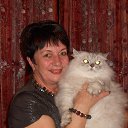 ���� ����, �������� - ��������� 2 ��� 2015