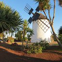 ���� ������, �����������, 55 ��� - ��������� 8 ���� 2015 � ������ ������������ 2015 ���