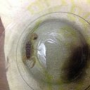 ���� Hur99ma, ���������, 46 ��� - ��������� 12 ���� 2015 � ������ ������ ��������