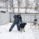 ���� �����, ������ ��������, 44 ���� - ��������� 8 �������� 2015 � ������ ���� ����������