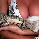 ���� ����, �����, 38 ��� - ��������� 16 ���� 2015 � ������ ���� ����������