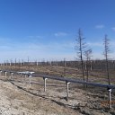 ���� �������, ���������, 49 ��� - ��������� 22 ��� 2015 � ������ ���� ����������