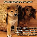 ���� �����, �����, 63 ���� - ��������� 29 ���� 2015 � ������ ���������������� �������� - ������� � ���������!�