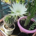 ���� ������, �������, 64 ���� - ��������� 28 ���� 2015 � ������ ������ ��������