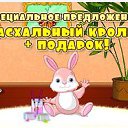 ������ ������� �� ������� ��������-������ �������