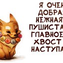 ���� �������, �����-���������, 63 ���� - ��������� 20 ��� 2015 � ������ ������ ��������
