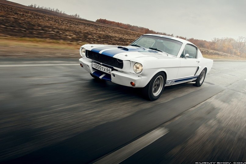 Ford Mustang Shelby GT350 - 4