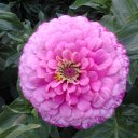 ���� ������, ��������, 70 ��� - ��������� 19 �������� 2015 � ������ ������ ��������