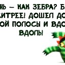 ���� ������, ������, 54 ���� - ��������� 30 ������� 2015 � ������ ������ ��������