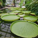 ���� ������, �����, 57 ��� - ��������� 27 ���� 2015 � ������ ����������