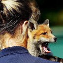  Blonde, Waldkraiburg -  5  2015   ...