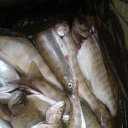 ��� ����