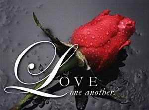 ���� �������, ������, 59 ��� - ��������� 31 ���� 2015