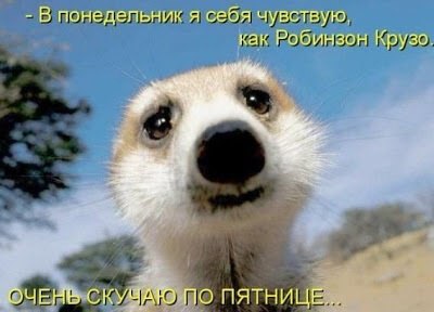  !   . -   .       ... - 2
