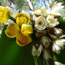 ���� �����, ������� - ��������� 7 ��� 2015 � ������ ���� ����������