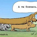 Фото Эдуард, Гамбург, 64 года - добавлено 23 апреля 2015 в альбом «Лента новостей»