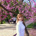 ���� ������, ��������� - ��������� 15 ��� 2015 � ������ ���� ����������