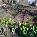 ���� ��������, ������, 74 ���� - ��������� 22 �������� 2015 � ������ ���� ����������