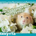 ���� ������, ������ - ��������� 1 �������� 2015 � ������ ���� ����������