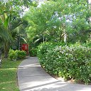    -  ,  -  23  2015    2014.  Peace.  11-.