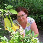 ����, 64 ����, ������ ��������