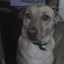 ���� �����, ����, 59 ��� - ��������� 22 ���� 2015 � ������ ������ ��������