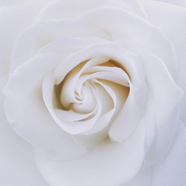 � � ��� ������� ����� 