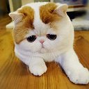 ���� ���, ������������ - ��������� 26 ������ 2015 � ������ ���� ����������