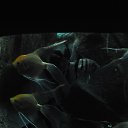 ���� �������, ������, 53 ���� - ��������� 10 �������� 2015 � ������ �������