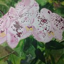 ��� �������� ������� ��������.