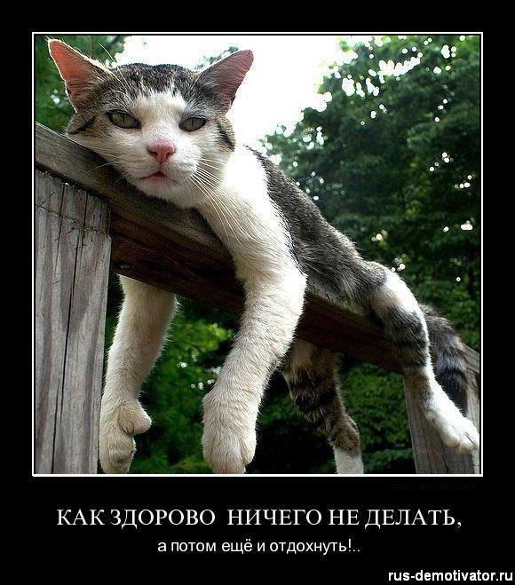 ������ - 10 ��� 2015 � 13:09