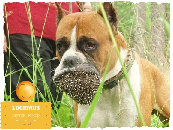 ���������,���� ������ ������ ))