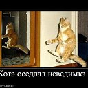 ���� Sakhalin, ���������, 42 ���� - ��������� 9 ������� 2015 � ������ ���� ���� ������