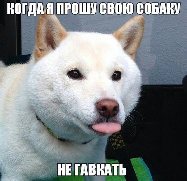     - 22  2015  10:04