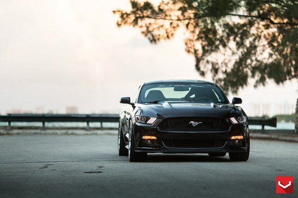 Ford Mustang GT 5.0 - 3