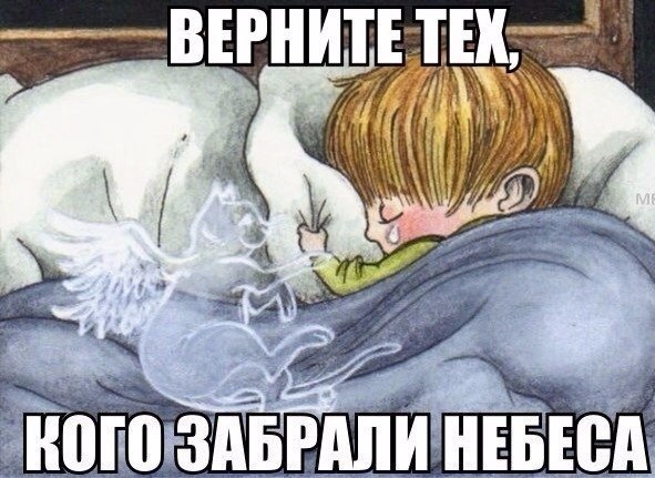 Верните тех,кого забрали небеса... Что б мне увидеть нос их и глаза. Что б крепко к сердцу их сейчас ...