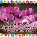 ���� @@@ ����� @@@, ������ - ��������� 3 ���� 2015 � ������ �������� ��������