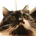  , -, 54  -  12  2015   