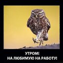 ���� �������, ������, 54 ���� - ��������� 17 ���� 2015 � ������ ������ ��������