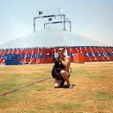 ���� �������, �������, 51 ��� - ��������� 12 ���� 2015 � ������ ���� ����������