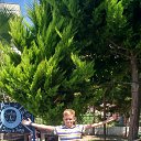 ���� ������, �����-���������, 42 ���� - ��������� 3 ���� 2015 � ������ ���� ����������