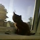 ���� ��������, �������, 63 ���� - ��������� 25 ���� 2015 � ������ ������ ��������