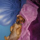 ���� ������, �����, 43 ���� - ��������� 20 �������� 2015 � ������ ������ ��������