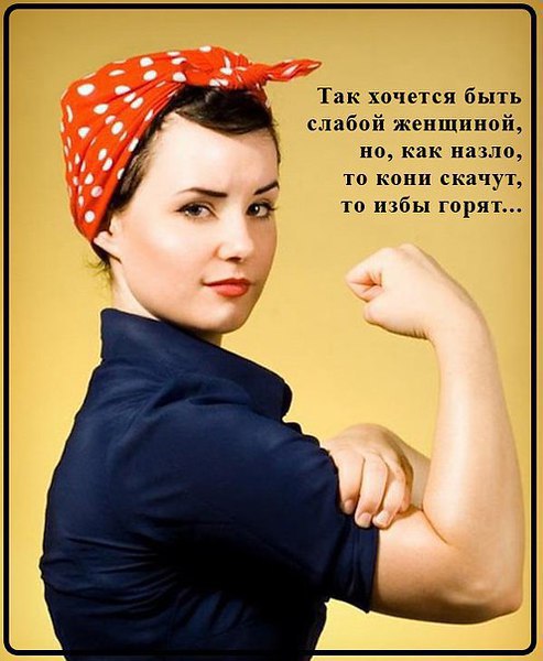 ������ - 24 ������� 2015 � 07:53