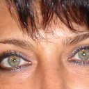 ���� �����, ����� - ��������� 29 ������� 2015 � ������ ���� ����������